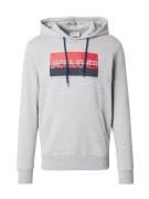 JACK & JONES Sweatshirt 'JJNolan'  navy / grå-meleret / rød