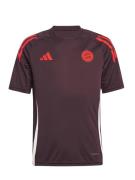 ADIDAS ORIGINALS Funktionsskjorte 'FC Bayern Tiro 24'  rød / bordeaux ...