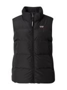 Superdry Vest  sort