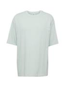 Champion Authentic Athletic Apparel Bluser & t-shirts  mint / hvid