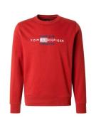 TOMMY HILFIGER Sweatshirt  blå / rød / hvid