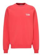 FCBM Sweatshirt 'Charlie'  rød / hvid