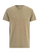 AÉROPOSTALE Bluser & t-shirts  khaki