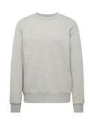 SELECTED HOMME Sweatshirt 'DAN'  grå