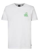 Petrol Industries Bluser & t-shirts  grøn / hvid