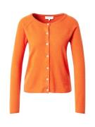 rosemunde Cardigan  orange