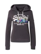 Superdry Sweatshirt  blå / grå / grøn / hvid