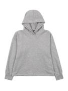 NAME IT Sweatshirt 'TEKKA'  lysegrå