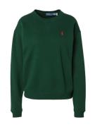 Polo Ralph Lauren Sweatshirt  gran / rød