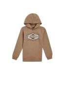 O'NEILL Sweatshirt  brun / cappuccino