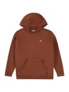 ADIDAS ORIGINALS Sweatshirt  rustbrun / hvid