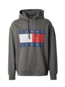 Tommy Jeans Sweatshirt  navy / mørkegrå / rød / hvid