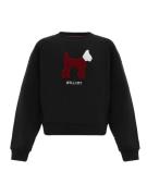 Williot Sweatshirt  burgunder / sort / hvid