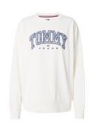 Tommy Jeans Sweatshirt  marin / lyseblå / hvid