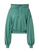 Urban Classics Sweatshirt  smaragd