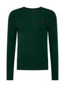 Polo Ralph Lauren Pullover  mørkegrøn / rød