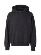 Abercrombie & Fitch Sweatshirt 'ESSENTIAL POPOVER'  sort-meleret