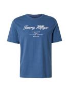 TOMMY HILFIGER Bluser & t-shirts  blå / navy / rød / hvid