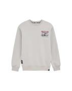 WE Fashion Sweatshirt  beige / blandingsfarvet