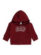 GAP Sweatjakke  carminrød / hvid