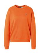 Polo Ralph Lauren Sweatshirt  hummer