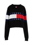 Tommy Jeans Pullover  marin / rød / sort / hvid