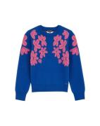 WE Fashion Pullover  koboltblåt / lys pink