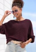 LASCANA Pullover  aubergine