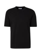 DAN FOX APPAREL Bluser & t-shirts 'Essentials'  sort