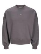 JACK & JONES Sweatshirt 'JCOTERRAIN'  grå / offwhite