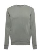 Only & Sons Sweatshirt 'Ceres'  grå