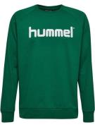 Hummel Sweatshirt  grøn / hvid