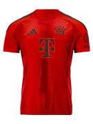 ADIDAS PERFORMANCE Fodboldtrøje 'FC Bayern München 2024/2025'  rød / m...