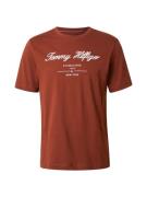 TOMMY HILFIGER Bluser & t-shirts  kastaniebrun / hvid