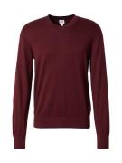 GAP Pullover  merlot