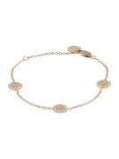 TOMMY HILFIGER Armbånd  guld / transparent