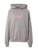 Pegador Sweatshirt 'Belly'  grå / pink