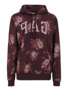 Gap Tall Sweatshirt 'HERITAGE'  aubergine / lyserød / gammelrosa / hvi...