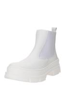 Ca'Shott Chelsea Boots 'ALBERTE'  lysegrå / offwhite