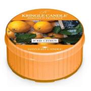 Kringle Candle Iced Citrus Daylight  12 stk