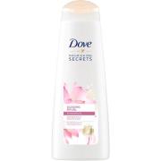 Dove Nourishing Secrets Glowing Ritual Shampoo 250 ml