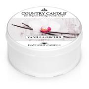 Country Candle Vanilla Orchid Daylight