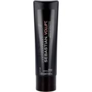 Sebastian Professional Volupt shampoo 250 ml