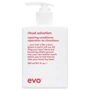 Evo Repair SalvationCare Conditioner 300 ml