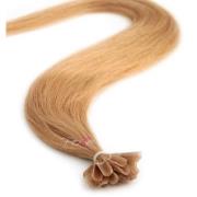 Poze Hairextensions Poze Keratin Premium Extensions 10B Sand Blon