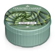 Country Candle Daylight Spiral Aloe 42 g