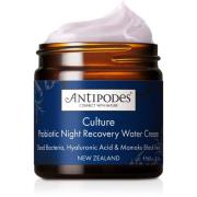 Antipodes Culture Probiotic Night Recovery Water Cream 60 ml