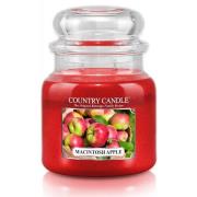 Country Candle Macintosh Apple Scented Candle 453 g