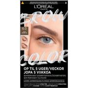 Loreal Paris Brow Color Semi-Permanent Eyebrow Color 6.0 Light Br
