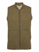 Thermo Gilet Eden Adult Wheat Green